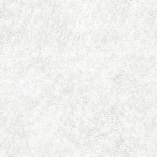 09_texture_01.png